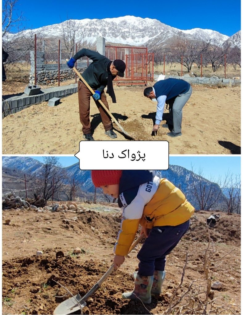 مرد بلوط امروز درسی سخت به دنیا آمد .