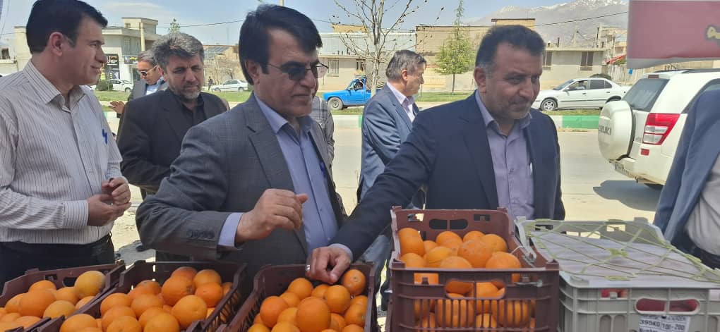 بازدید دکتر بهرامی نماینده مردم بویراحمد، دنا و مارگون در مجلس شورای اسلامی از سردخانه میوه شب عید