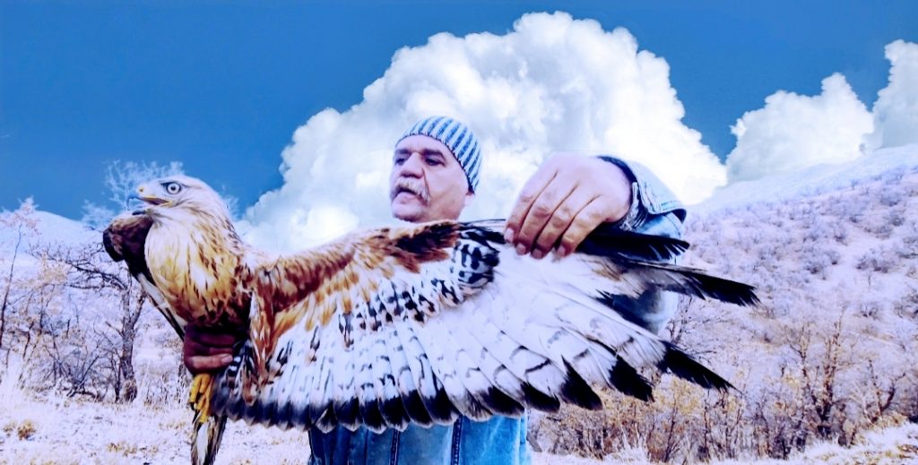  بازگشت به آغوش طبیعت